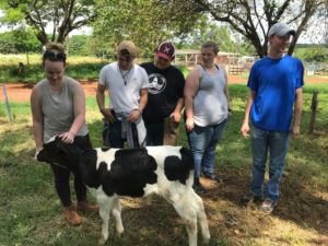 Leia mais sobre o artigo Em visita ao Brasil, americanos conhecem tecnologias da agricultura tropical – 06/01/2020