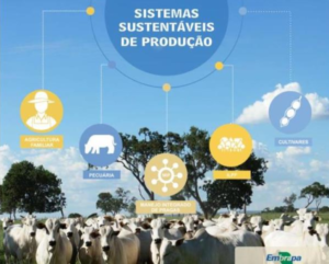 Leia mais sobre o artigo Tecnologias da Embrapa presentes no Showtec 2020 – 14/01/2020