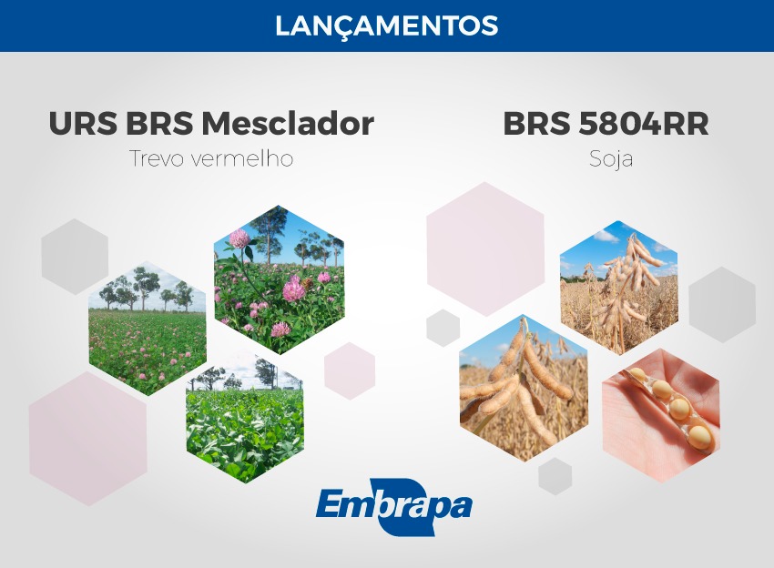 Você está visualizando atualmente Expodireto Cotrijal: lançamentos da Embrapa no primeiro dia da feira – 21/02/2020