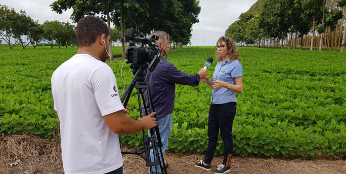 Você está visualizando atualmente Concurso premia trabalhos jornalísticos sobre sistemas ILPF – 05/03/2020