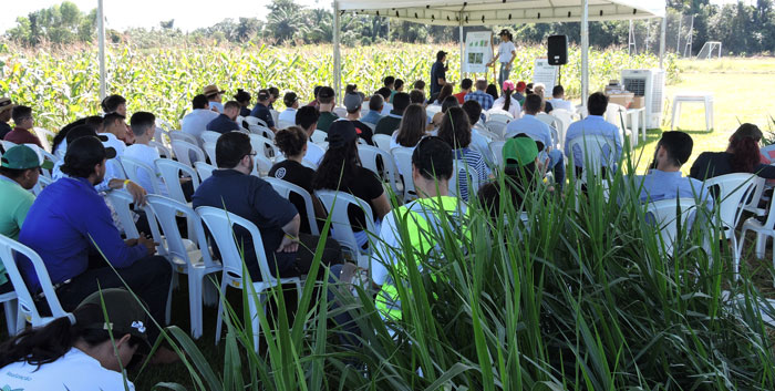 Você está visualizando atualmente Embrapa Agrossilvipastoril abre inscrições para 10º Dia de Campo sobre Sistemas Integrados – 10/03/2020