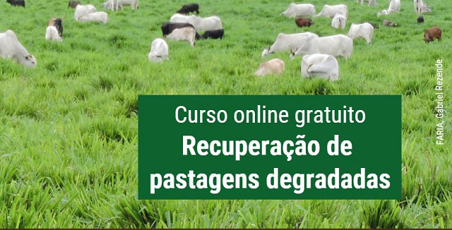 Você está visualizando atualmente Embrapa lança capacitação online sobre recuperação de pastagens degradadas – 06/04/2020