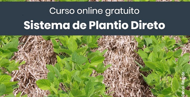 Você está visualizando atualmente Embrapa lança capacitação on-line sobre Sistema de Plantio Direto