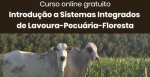 Leia mais sobre o artigo Inscrições abertas para o curso “Introdução a Sistemas Integrados de Lavoura-Pecuária-Floresta” – 26/05/2020