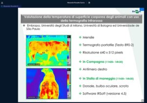 Leia mais sobre o artigo Não invasiva, termografia é usada para monitorar bem-estar animal – 13/07/2020