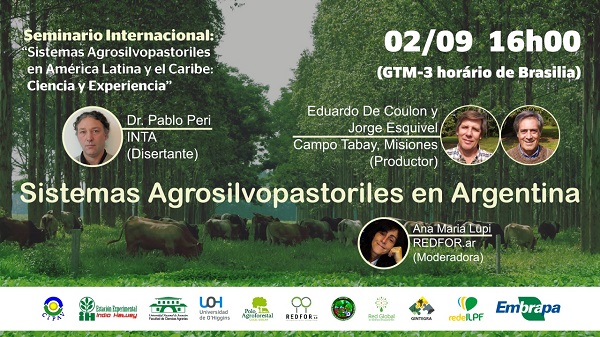 Você está visualizando atualmente “Integração Lavoura-Pecuária-Floresta gerencia desafios com sustentabilidade, responsabilidade e ética”, diz diretor da Rede ILPF – 02/09/2020