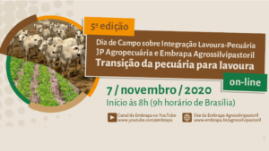 Leia mais sobre o artigo Dia de campo on-line mostra a transição entre seca e chuvas em sistema ILP – 05/11/2020