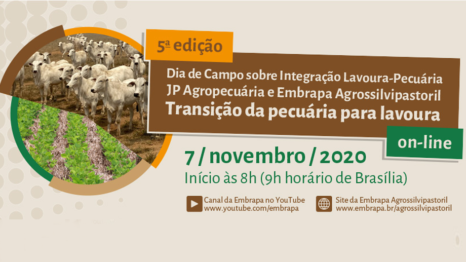 Você está visualizando atualmente Dia de campo on-line mostra a transição entre seca e chuvas em sistema ILP – 05/11/2020