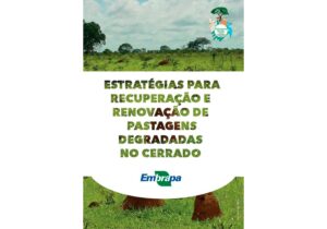 Leia mais sobre o artigo Folder mostra como recuperar ou renovar pastagens degradadas no Cerrado – 09/02/2021