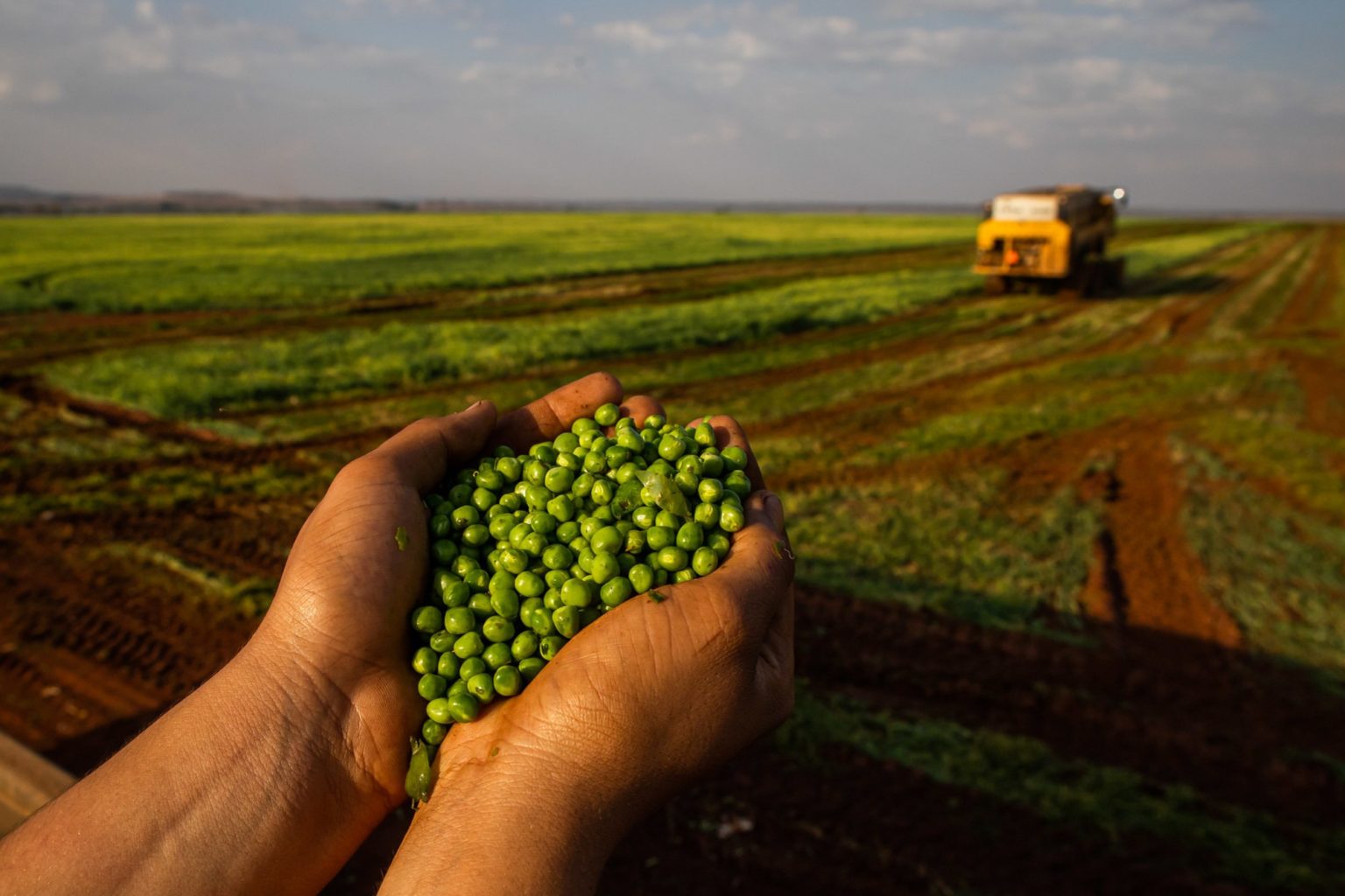 Você está visualizando atualmente Agropecuária brasileira ajuda a salvar o planeta, reconhece a Convenção-Quadro das Nações Unidas sobre Mudança do Clima