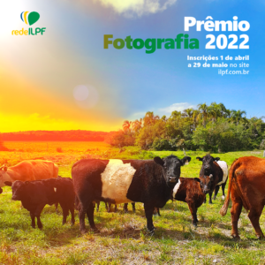 Leia mais sobre o artigo Prêmio de Fotografia ILPF 2022: Inscrições abertas!