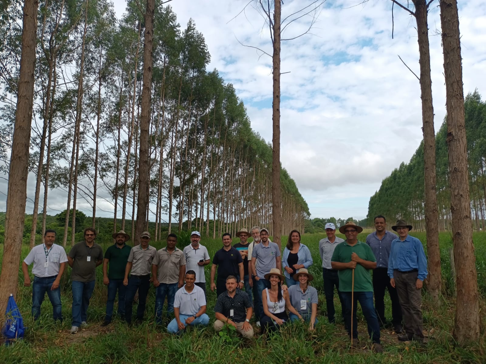 Leia mais sobre o artigo Fazenda Primavera￼