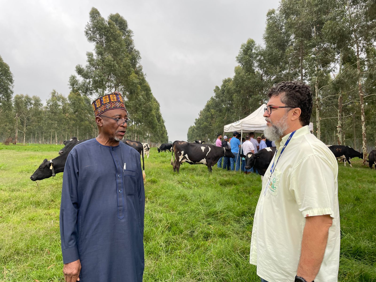 Você está visualizando atualmente Embaixador da Nigéria conhece sistemas sustentáveis de produção em fazenda da Embrapa em São Carlos (SP)