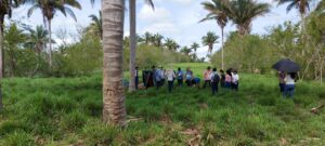 Leia mais sobre o artigo Caravana ILPF percorre seis cidades do Maranhão e Piauí  para divulgar o potencial dos sistemas integrados.