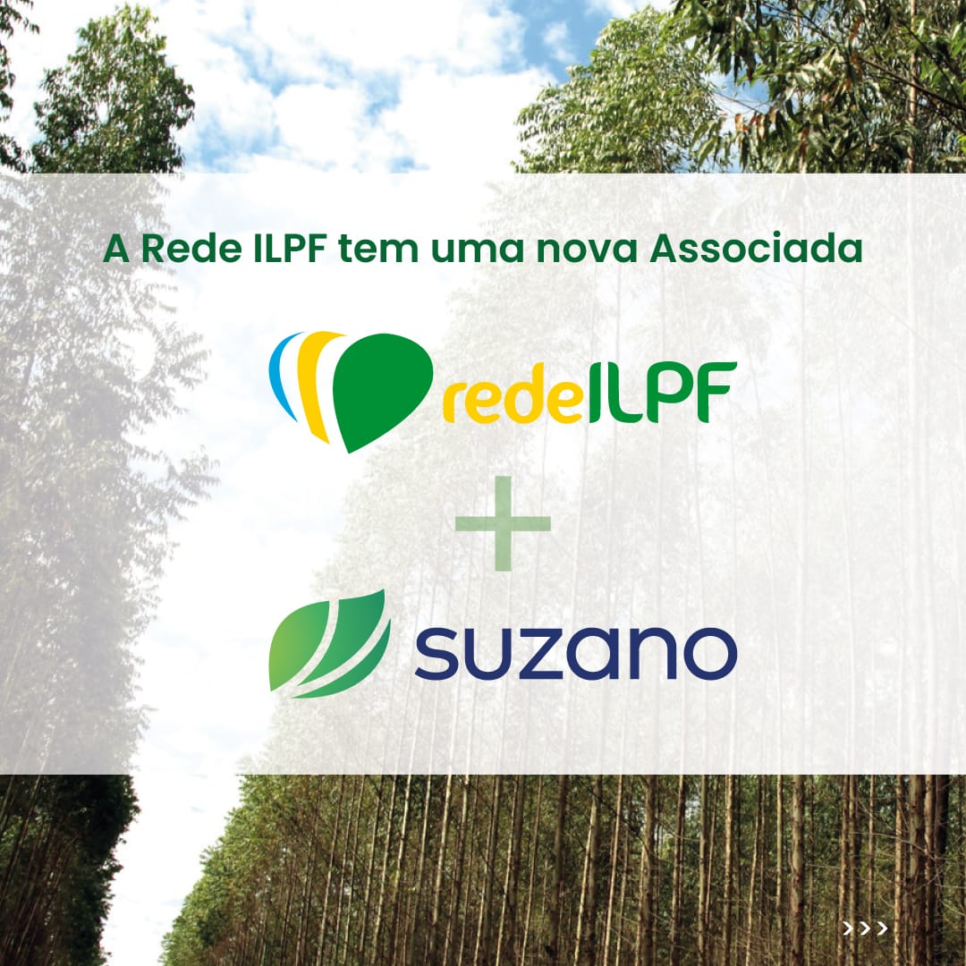 Leia mais sobre o artigo Nova Associada: A Suzano, referência global na fabricação de bioprodutos desenvolvidos a partir do cultivo de eucalipto, agora faz parte da Rede ILPF.