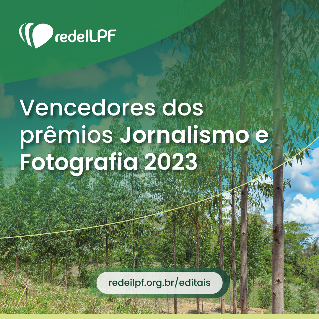 Você está visualizando atualmente Vencedores dos prêmios de jornalismo e fotografia da Rede ILPF 2023.