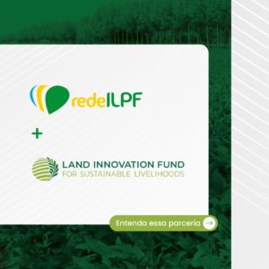 Leia mais sobre o artigo A Rede ILPF começa novo projeto nos estados de Goiás, Mato Grosso e Mato Grosso do Sul.