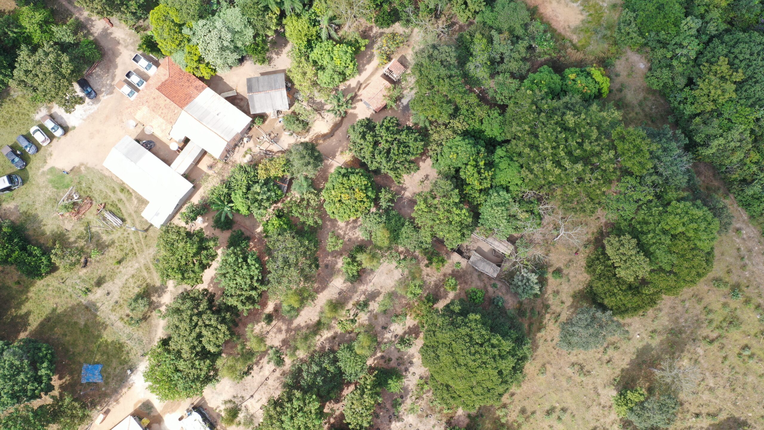 Você está visualizando atualmente Caravana ILPF: Sistemas integrados na pequena propriedade  Sítio Rosa de Saron em Barra do Garças.