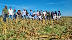 Leia mais sobre o artigo Caravana ILPF: Desafios climáticos aumentam potencial para a integração lavoura-pecuária no Vale do Araguaia.