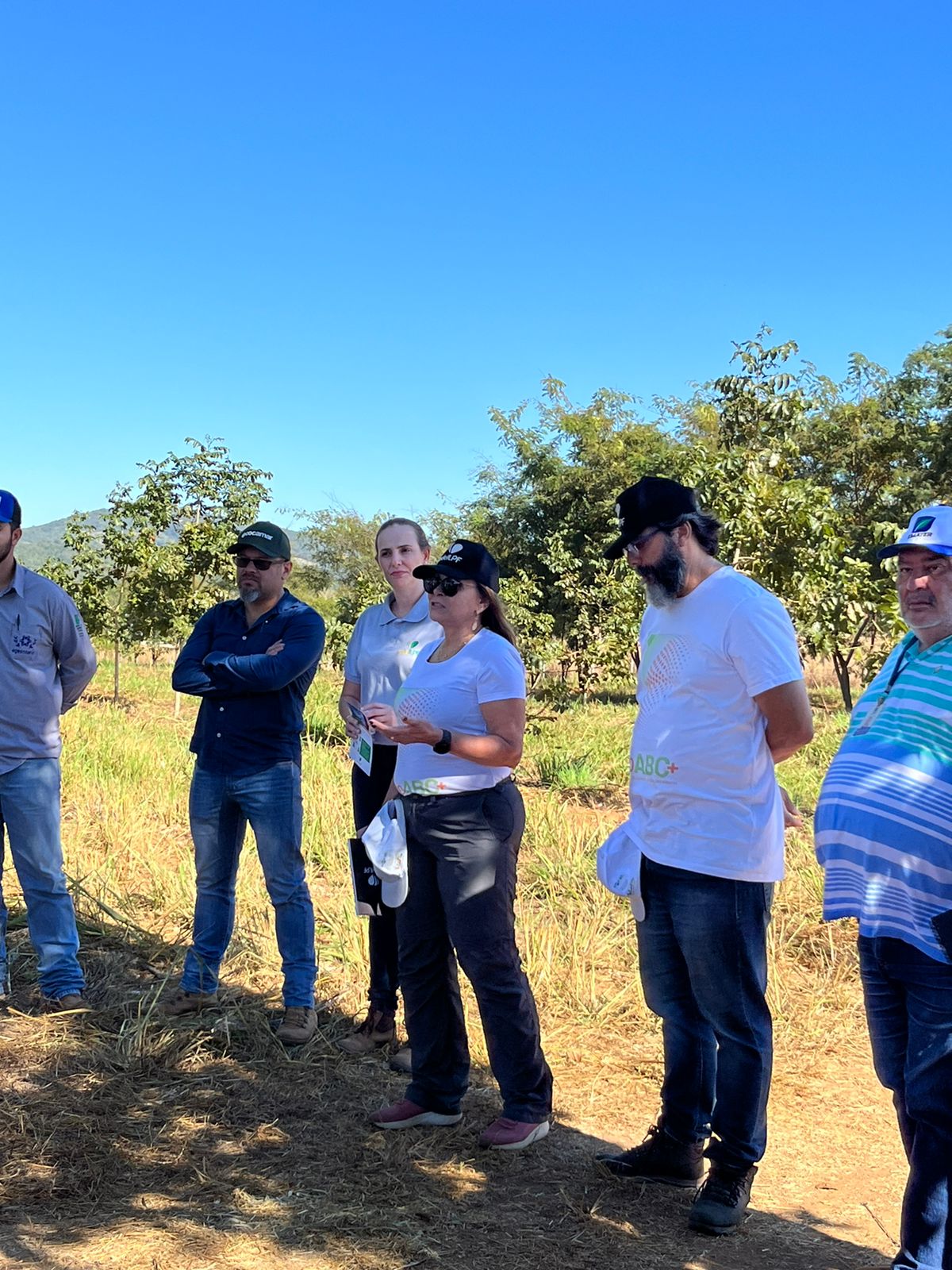 Você está visualizando atualmente Rede ILPF  e GeoABC+ estão juntos no esforço de produzir dados sobre a expansão da ILPF no Brasil.