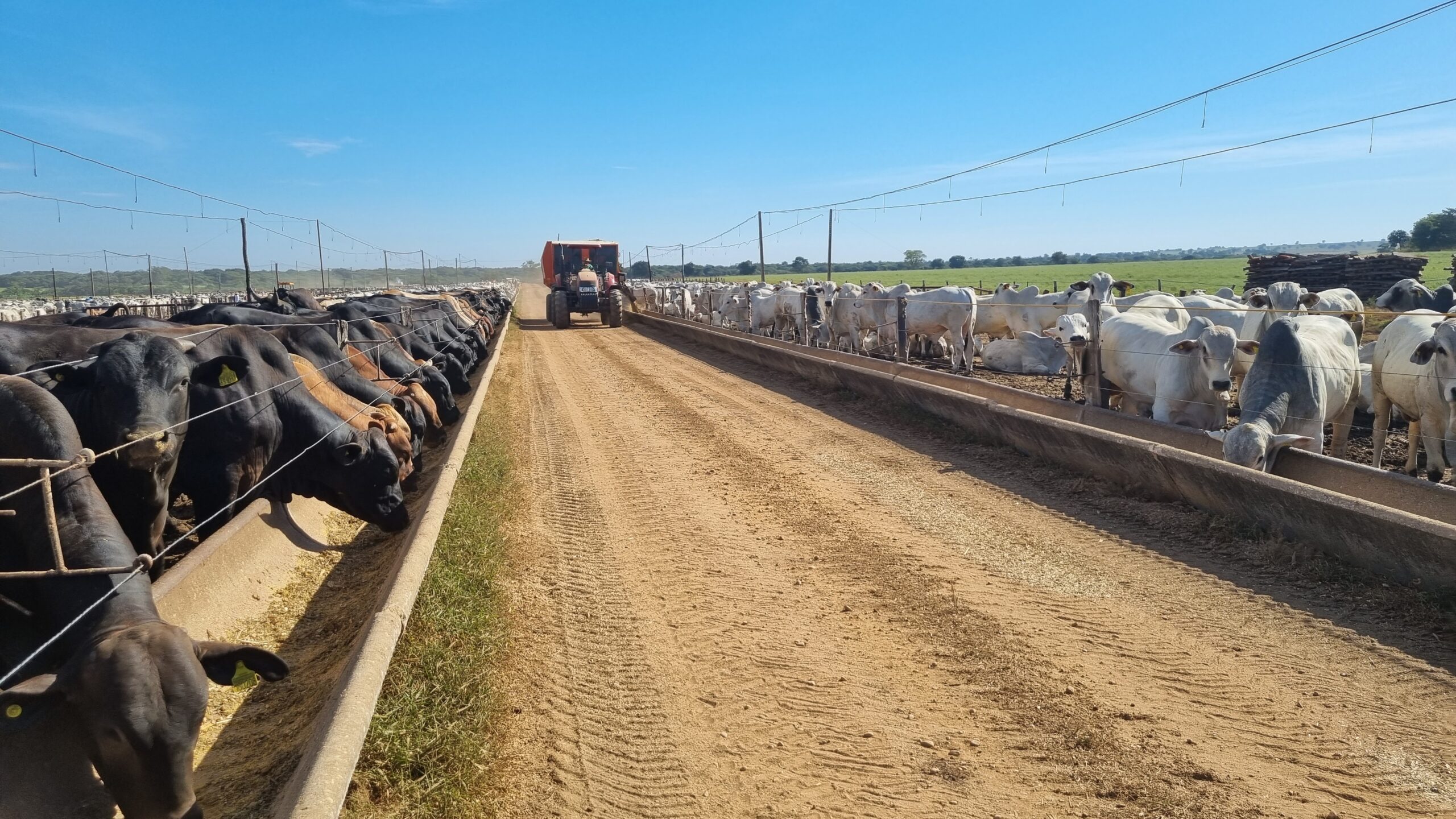 Você está visualizando atualmente Caravana ILPF: Solo e clima desafiam produtor em Goiás