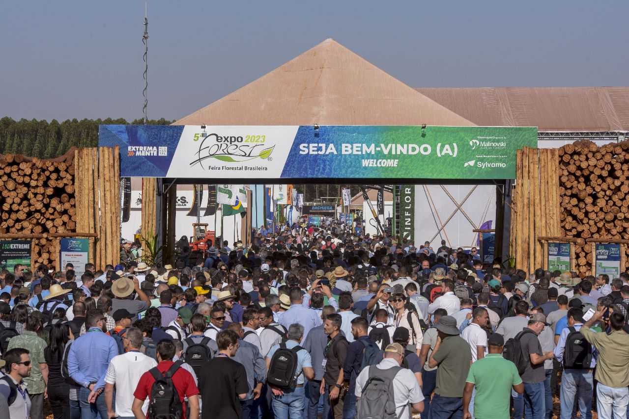 Você está visualizando atualmente Rede ILPF e Embrapa divulgam sistemas integrados de ILPF na Expoforest 2023, maior feira florestal da América Latina.