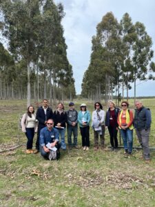 Leia mais sobre o artigo Rede ILPF e Associadas participam do XII Congresso Internacional de sistemas silvipastoris no Uruguai