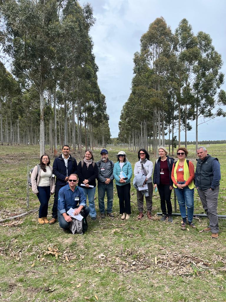 Você está visualizando atualmente Rede ILPF e Associadas participam do XII Congresso Internacional de sistemas silvipastoris no Uruguai