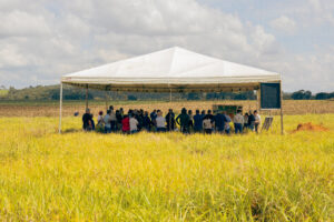 Leia mais sobre o artigo Projeto SustentAgro começa as atividades em Goiás com dia de campo em Assentamento Rural.