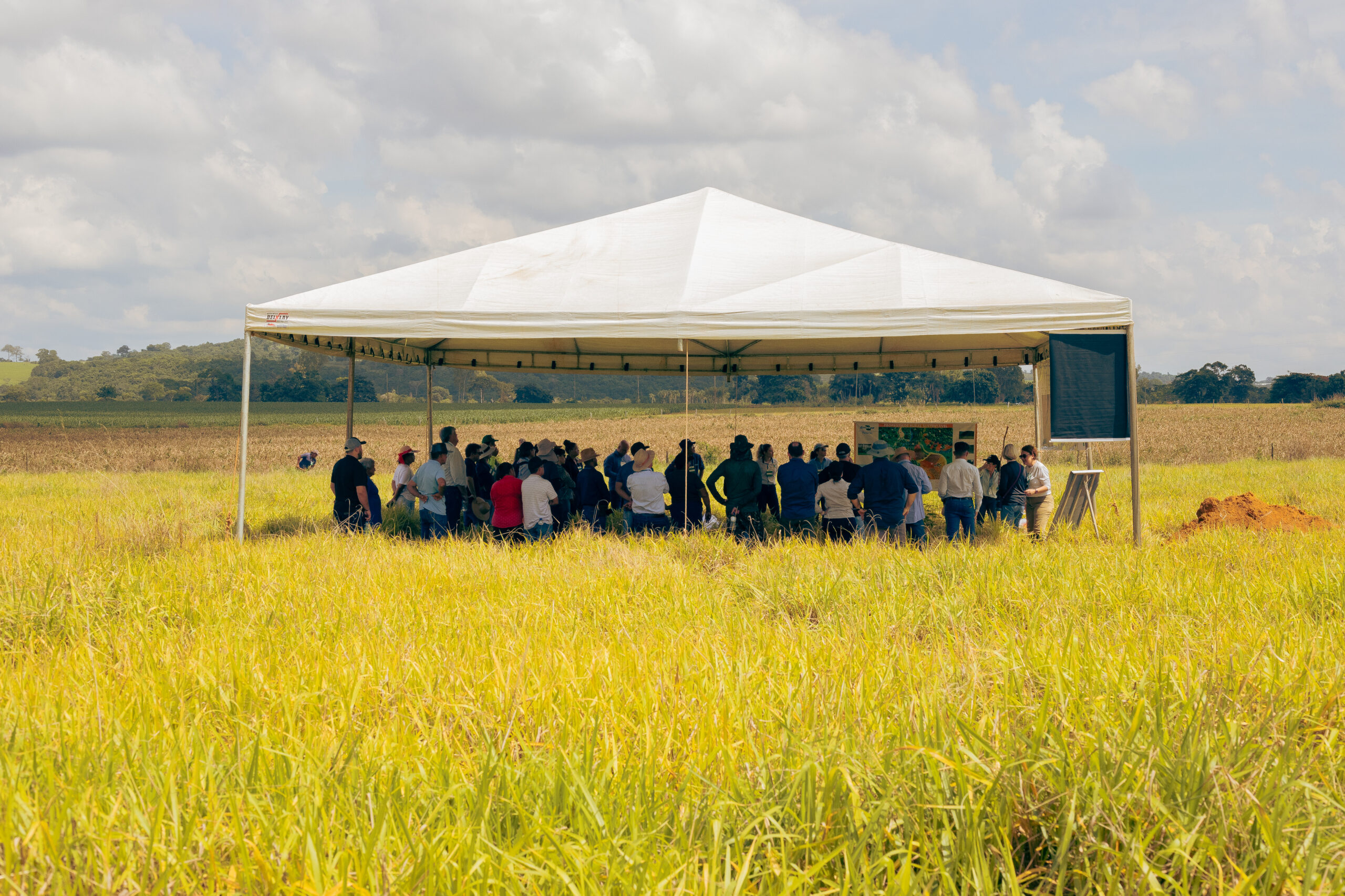 Você está visualizando atualmente Projeto SustentAgro começa as atividades em Goiás com dia de campo em Assentamento Rural.