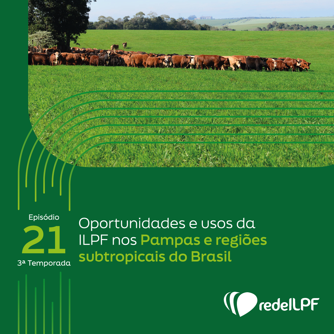 Você está visualizando atualmente ILPF na Rede está de volta com mais 10 episódios sobre Integração Lavoura Pecuária Floresta em diferentes regiões do país.