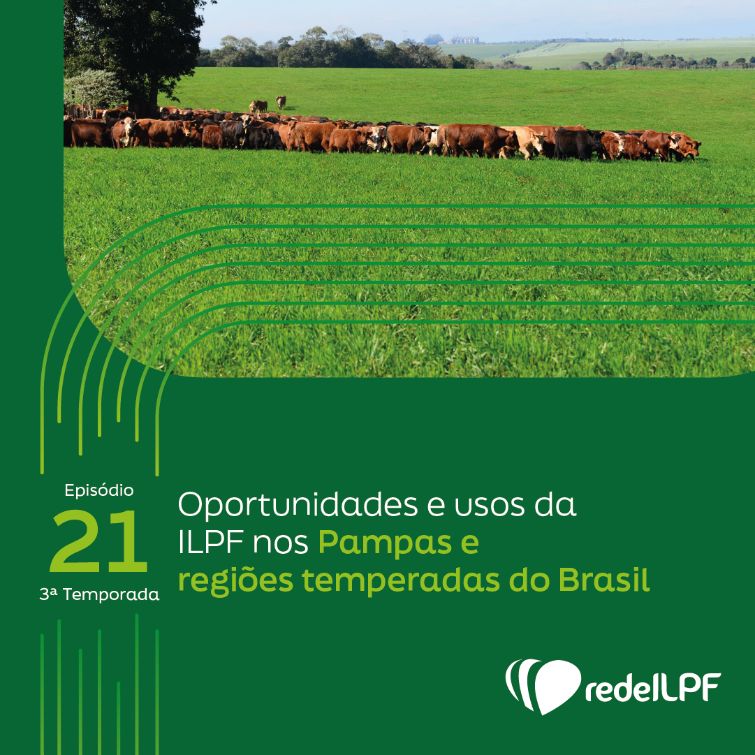 Leia mais sobre o artigo Oportunidades e usos da ILPF nos Pampas e regiões temperadas do Brasil