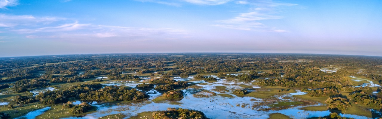 Você está visualizando atualmente Rede ILPF participa da Pantanal Tech em Aquidauana – MS, levando ILPF no contexto do Cerrado e Pantanal.