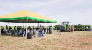 Leia mais sobre o artigo Dia de Campo na Fazenda Triunfo destaca potencial de expansão do Sistema ILPF no Oeste da Bahia