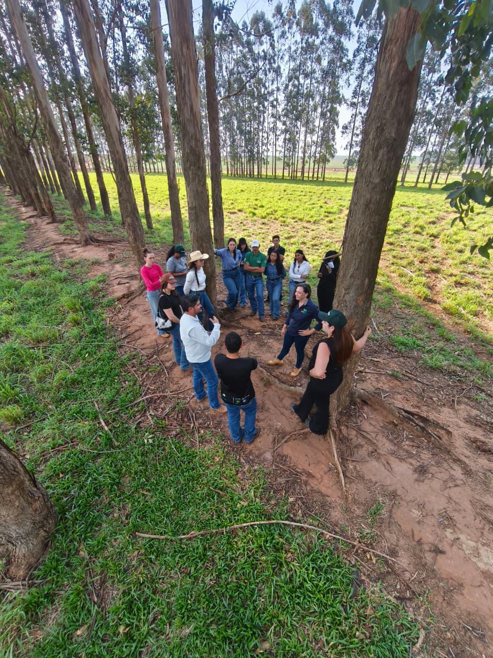 Leia mais sobre o artigo Estudantes vencedores do Desafio da Reunião das Agrárias da UFMT conhecem propriedade que adota Sistema ILPF