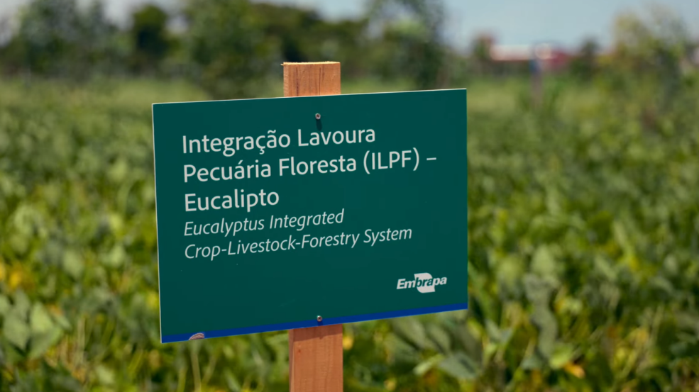 No momento, você está visualizando Agro foi protagonista na COP, e Agrizone deu amplo destaque ao Sistema ILPF