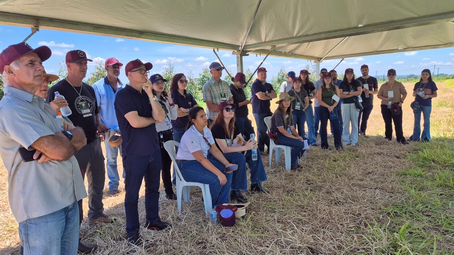 No momento, você está visualizando Simpósio ILPF 2025 destaca os sistemas integrados como a ponte para agropecuária do futuro