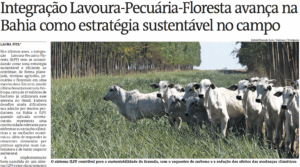 Leia mais sobre o artigo Rede abre 2026 sendo destaque em reportagem de “A Tarde” sobre avanço do Sistema ILPF na Bahia